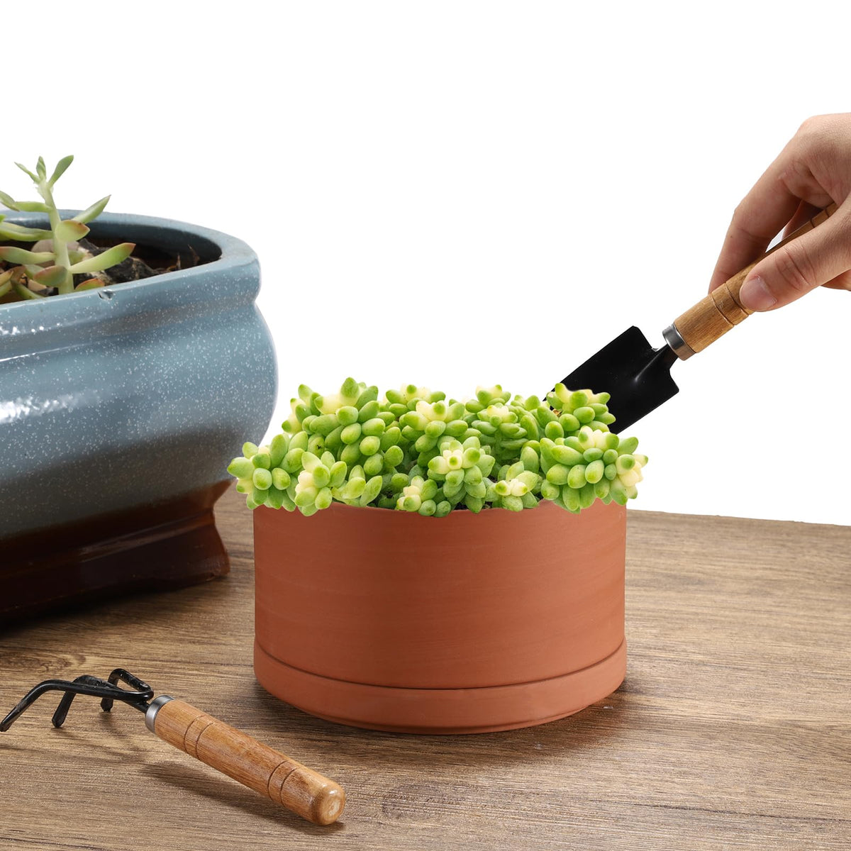 JUXYES heavy-base terracotta pot stays steady in windy spaces