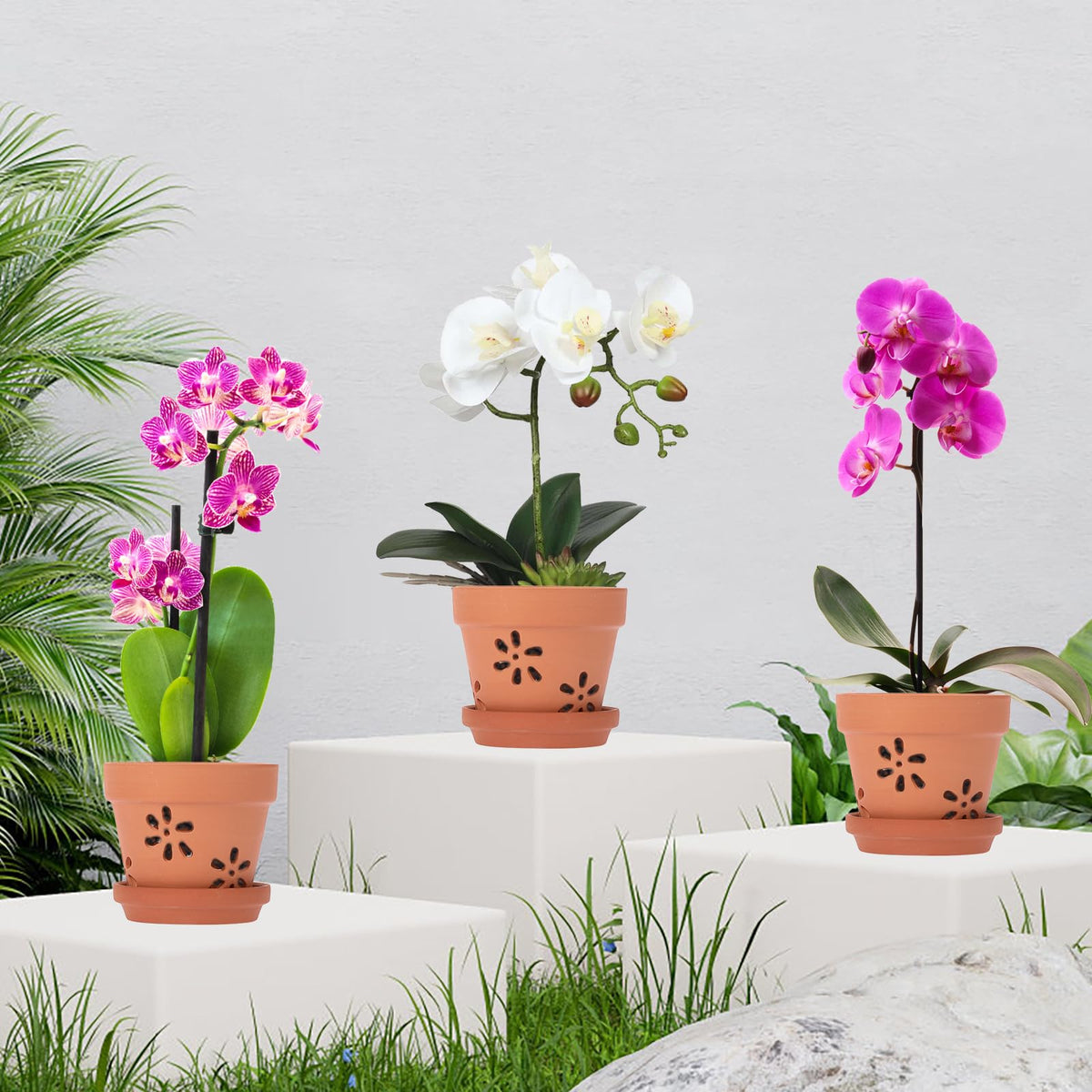 JUXYES indoor-outdoor orchid pots suit balconies and windowsills.