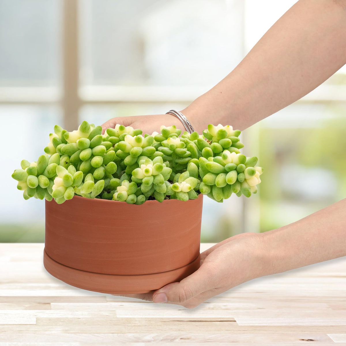 JUXYES round cylinder pot with saucer provides neat drainage and water collection