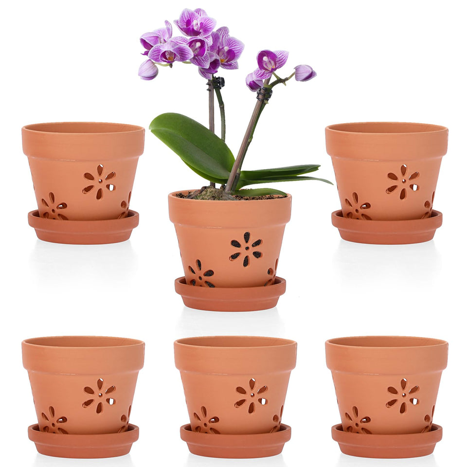 JUXYES terracotta orchid pot with holes and saucer promotes air flow.