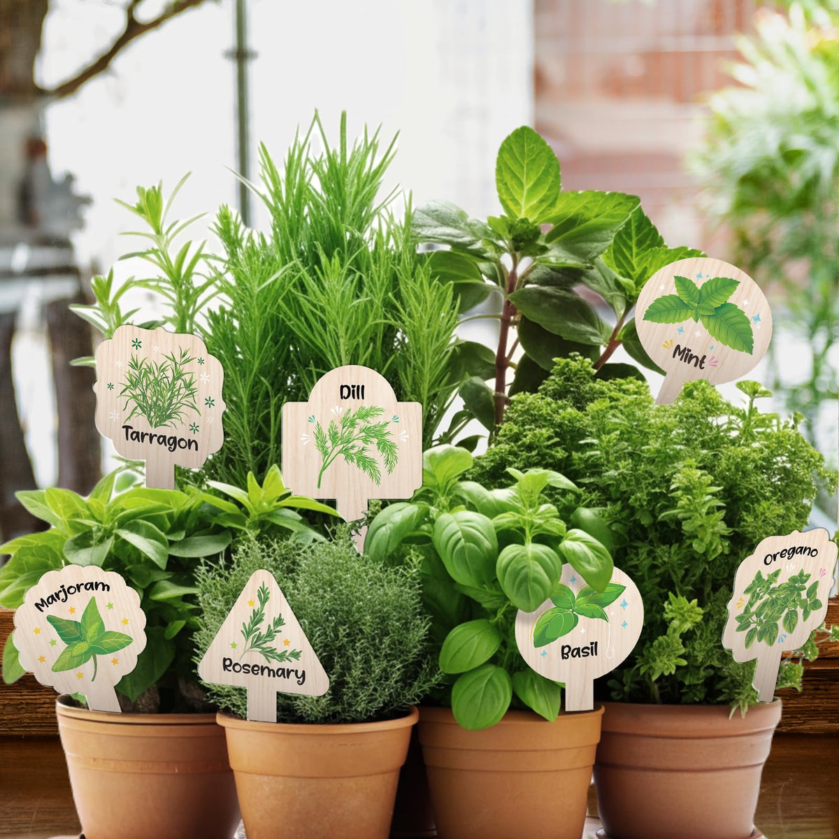 JUYRLE markers organize herbs like Basil Cilantro Thyme at a glance.