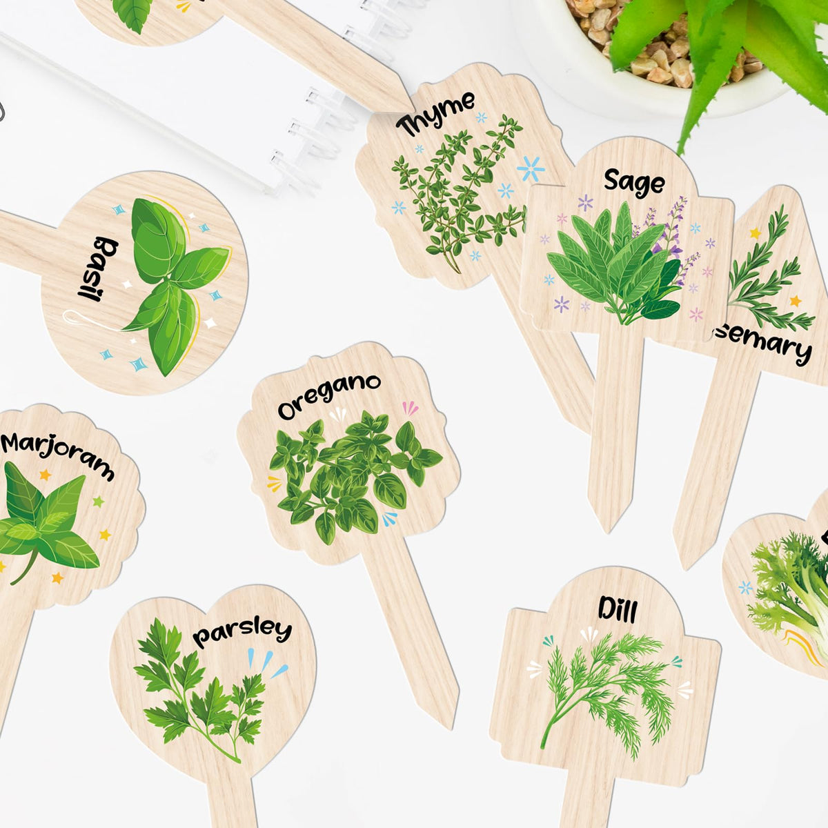 JUYRLE labels accompany seedlings and flowers with clear species names.