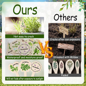 JUYRLE T-shaped plant tags insert easily into soil for quick labeling.