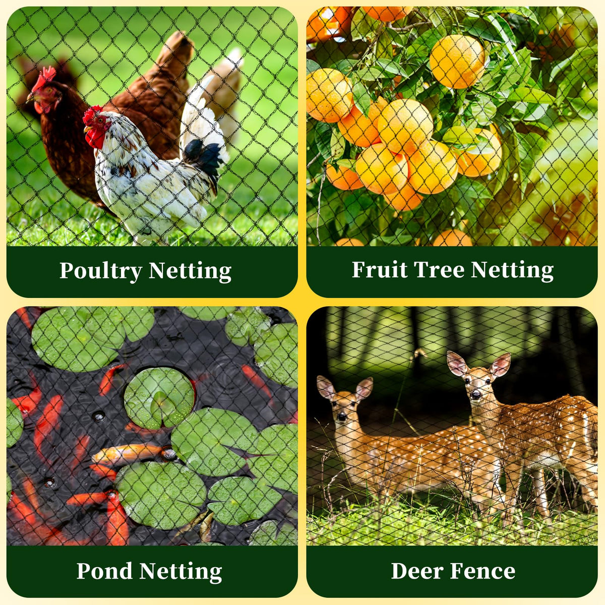 Jvgoo bird netting installed around chicken coops to deter pests
