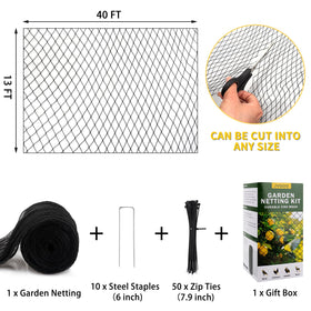 Jvgoo bird netting protects vegetables and berries while letting sun through