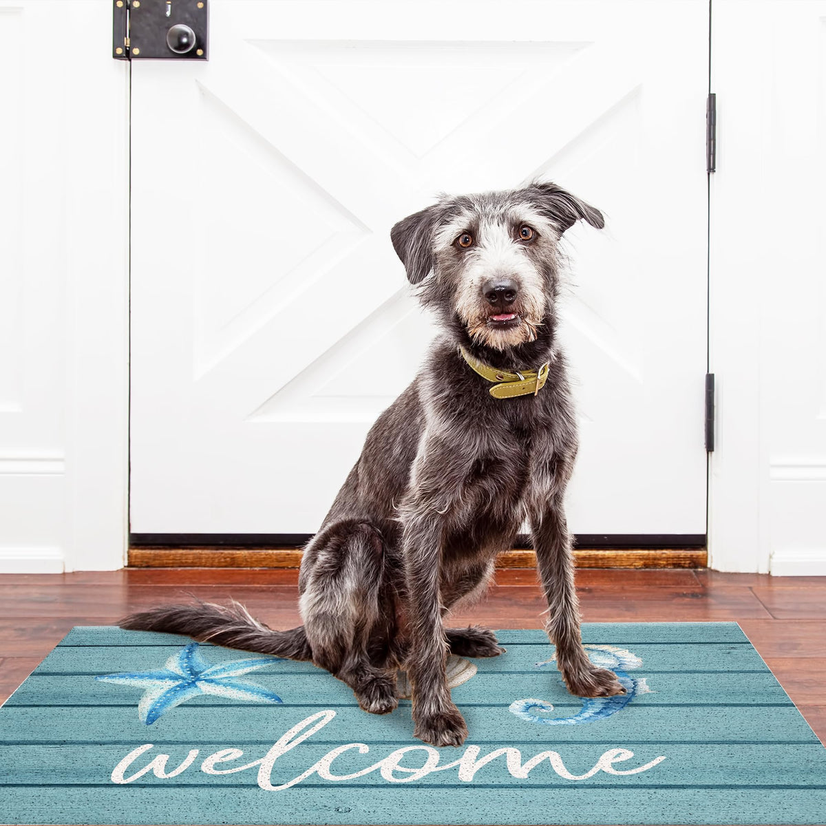 Jvpke Beach Welcome Mat features seashell starfish design adding coastal charm and dirt capture.