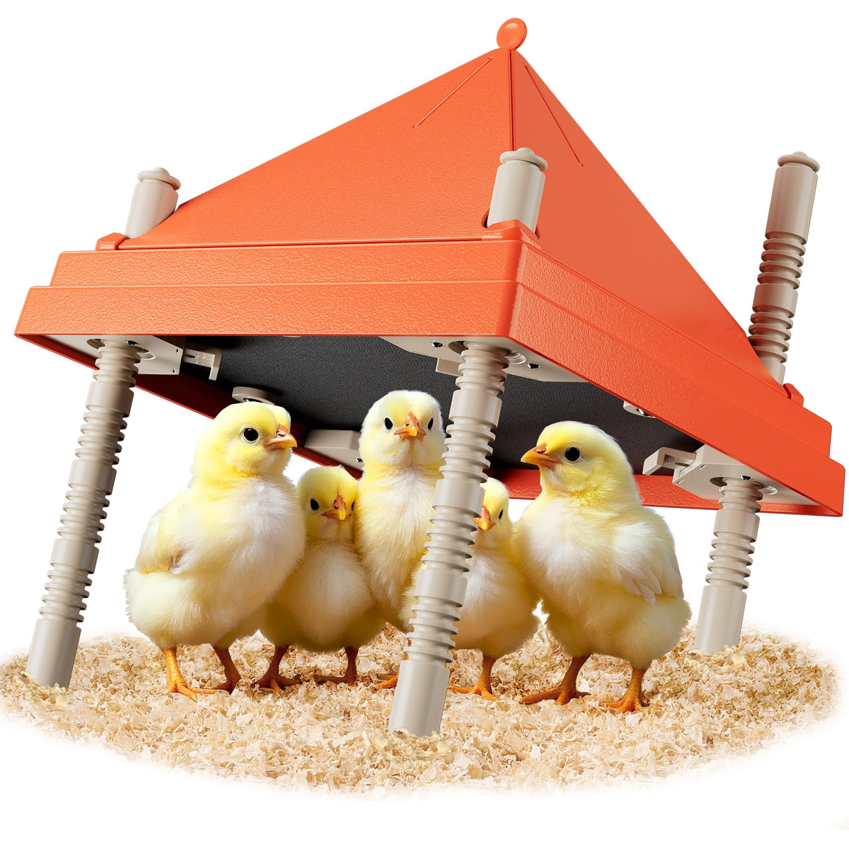 JXJHOVV chick brooder heating plate 10x10 delivering direct warmth for up to 15 chicks