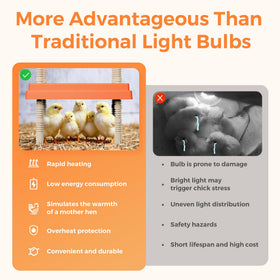 JXJHOVV no-glare design supports natural day-night rest for chicks