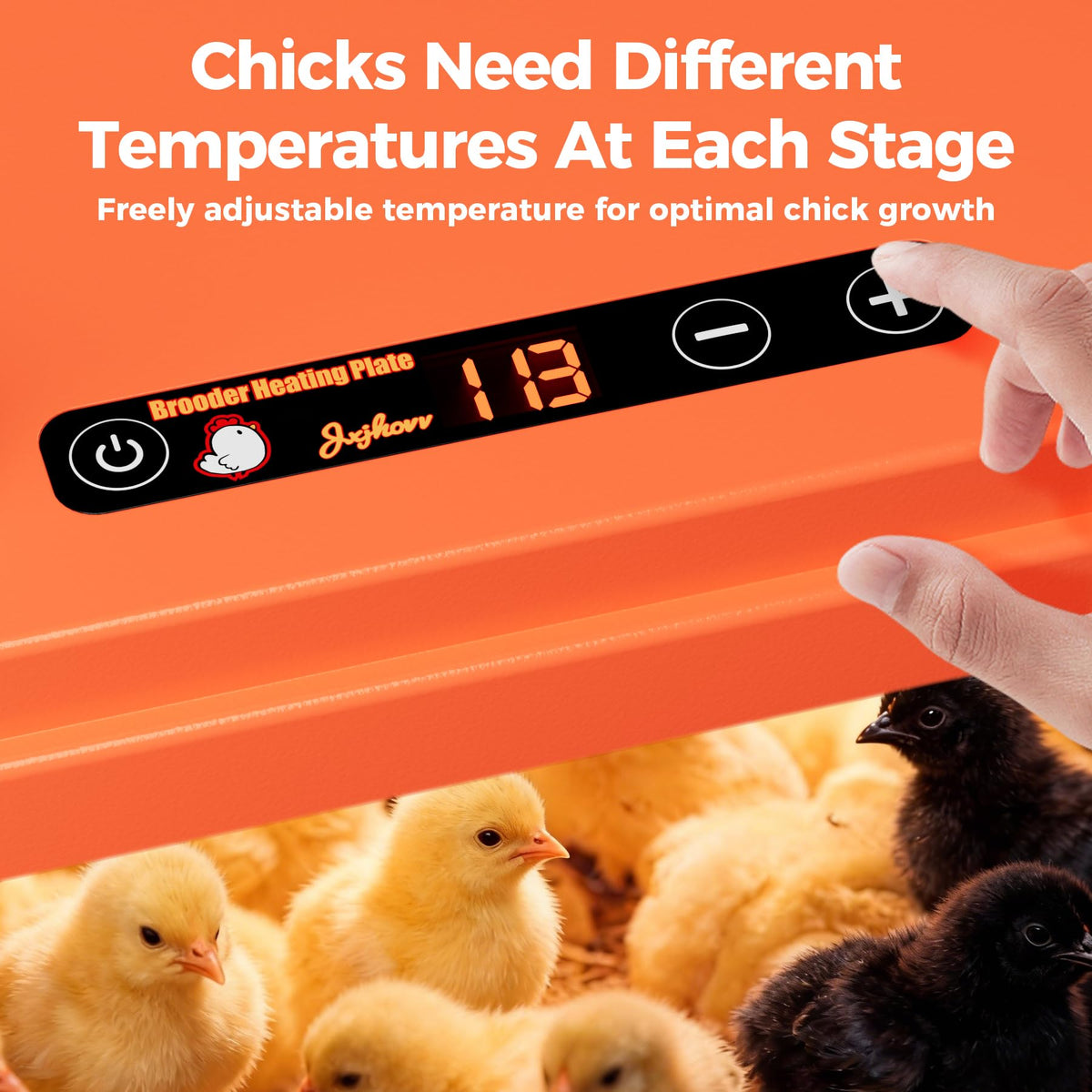 JXJHOVV Smart Chick Brooder Plate adjustable legs for tailored height.
