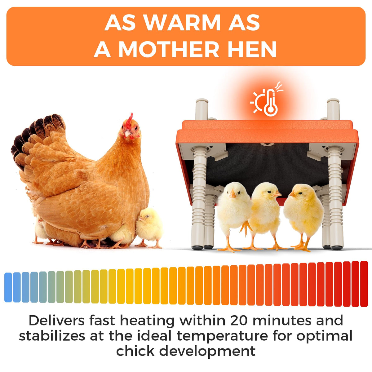 JXJHOVV Smart Chick Brooder Plate in-use chicks enjoying steady warmth.