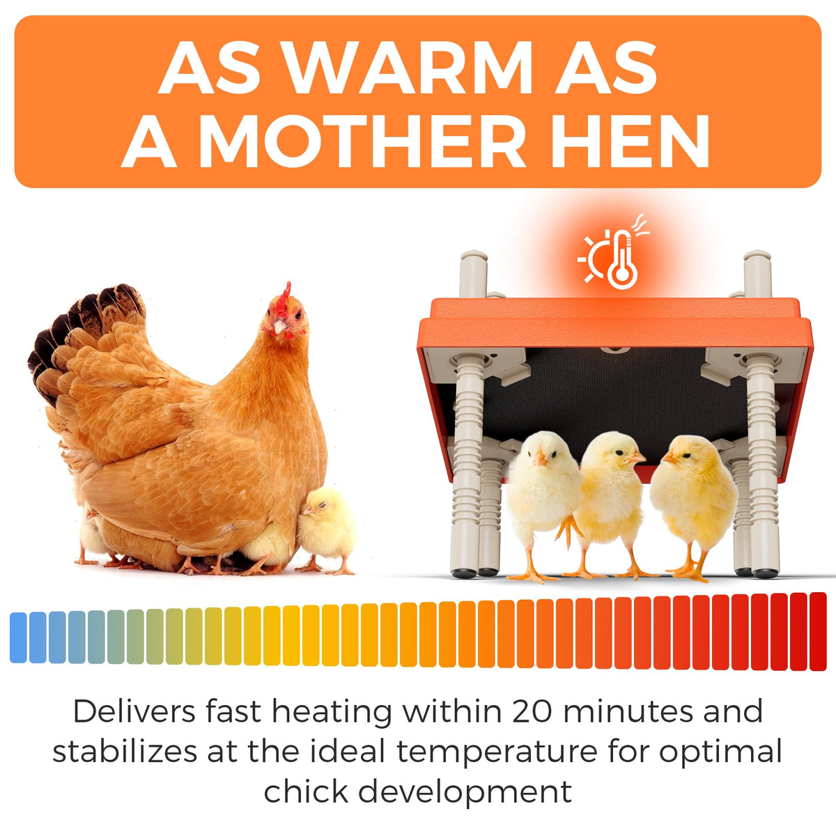 JXJHOVV stepless height adjustment tailors heat for growing chicks