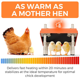 JXJHOVV stepless height adjustment tailors heat for growing chicks
