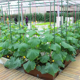 Jxrhy balcony garden stake set arranged for multiple pots