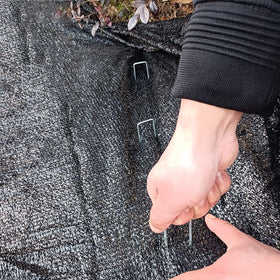 Jxrhy heavy-duty stakes stay sturdy under wind and weather.