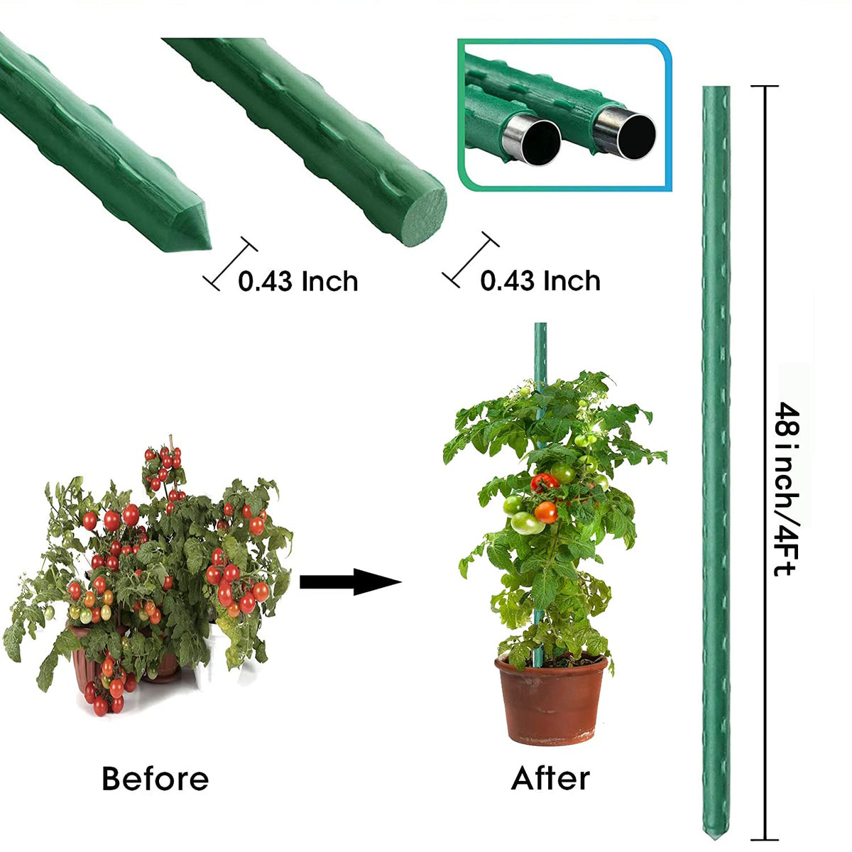 Jxrhy steel-core garden stake with green coating delivers durable outdoor plant support.