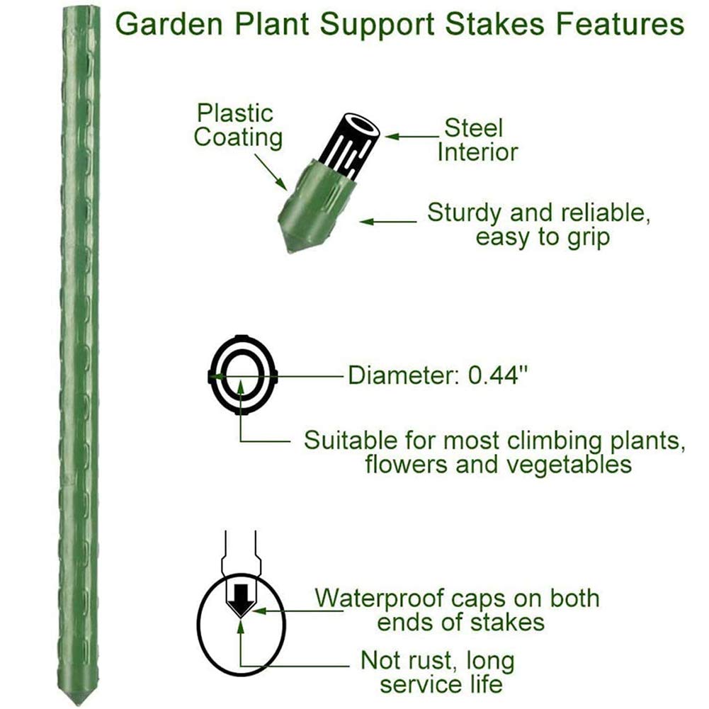 Jxrhy stake providing wind protection for a vegetable plant