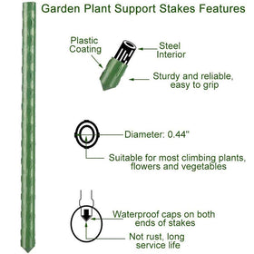Jxrhy stake providing wind protection for a vegetable plant