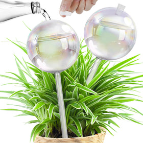 JXWENBYX 17oz iridescent self-watering globe for indoor plants.