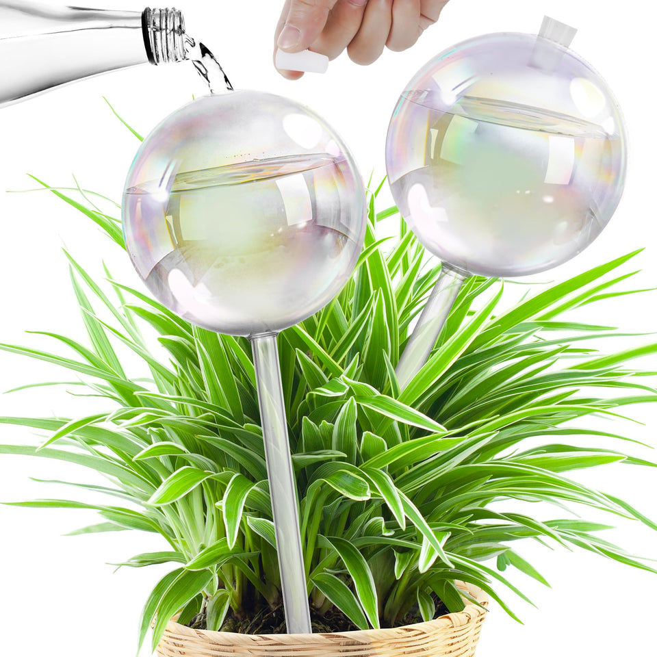 JXWENBYX 17oz iridescent self-watering globe for indoor plants.