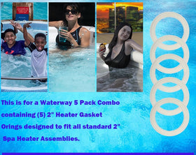 Compatible with Gecko, Hydro Quip, and Flow-Thru spa systems.