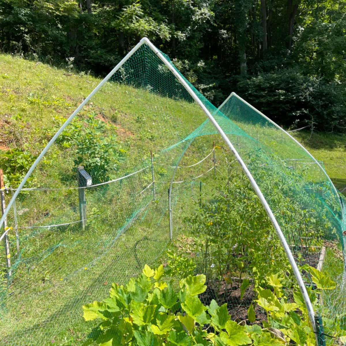 JZGEL netting in use to shield vegetables without hindering growth