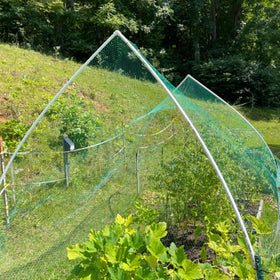 JZGEL netting in use to shield vegetables without hindering growth
