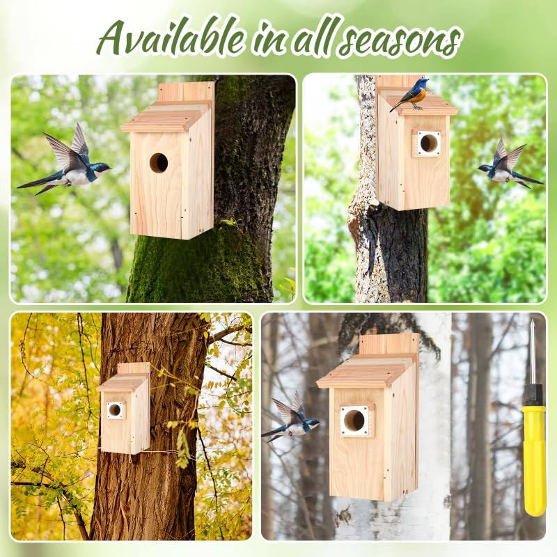 JZTKQTM removable-roof birdhouse enables simple cleaning and maintenance