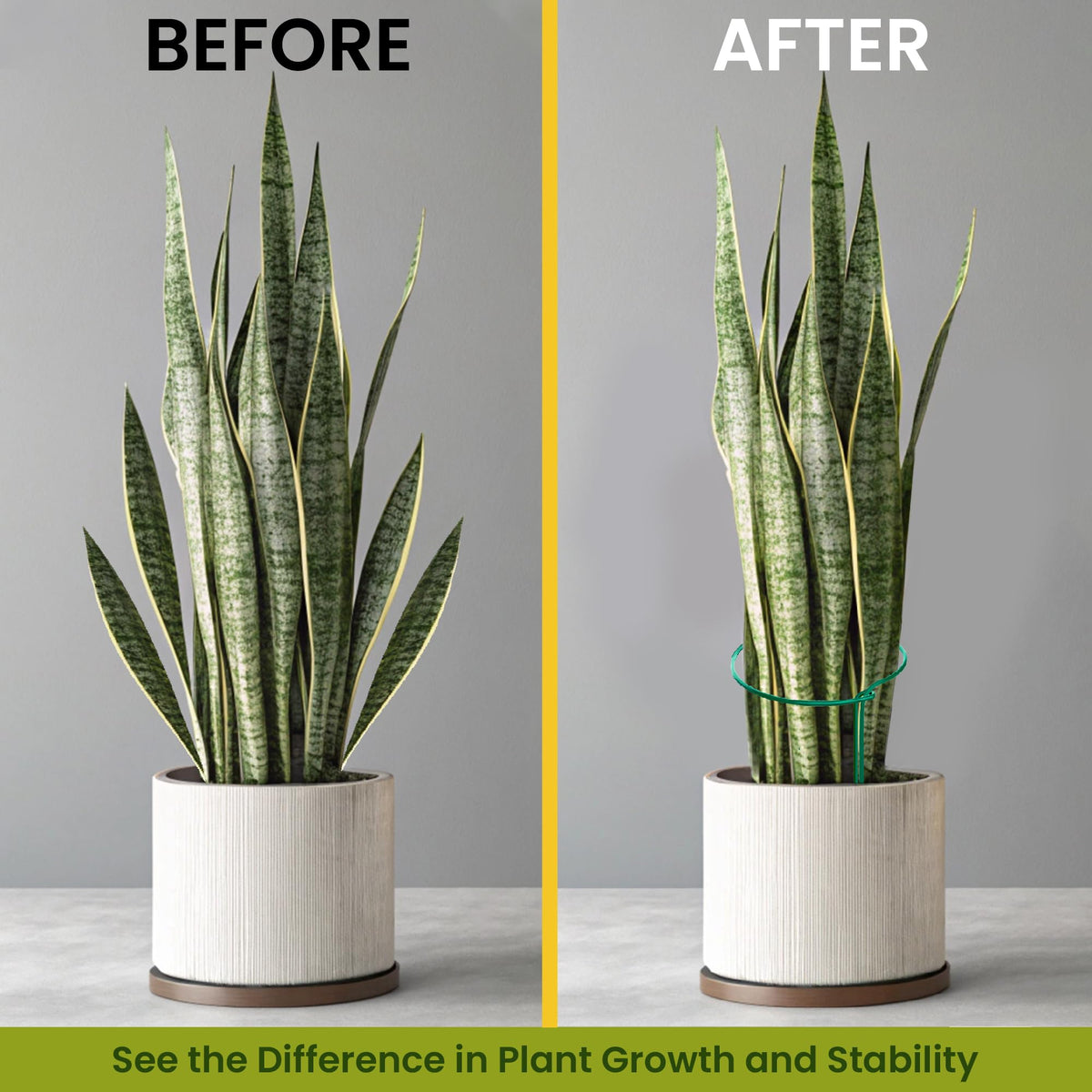 K-Brands 10ft plant tie roll included for securing stems.