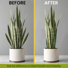 K-Brands 10ft plant tie roll included for securing stems.
