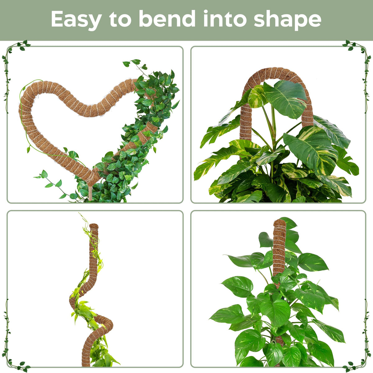 K-Brands bendable moss pole ideal for philodendron climbing