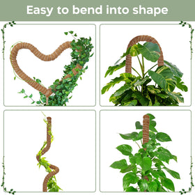 K-Brands bendable moss pole ideal for philodendron climbing