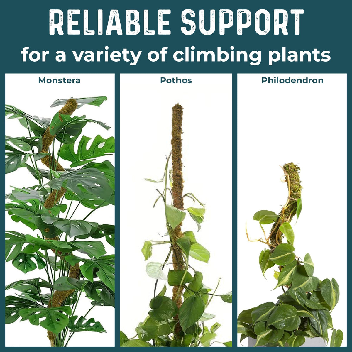 K-Brands 42-inch tall support for large indoor plants