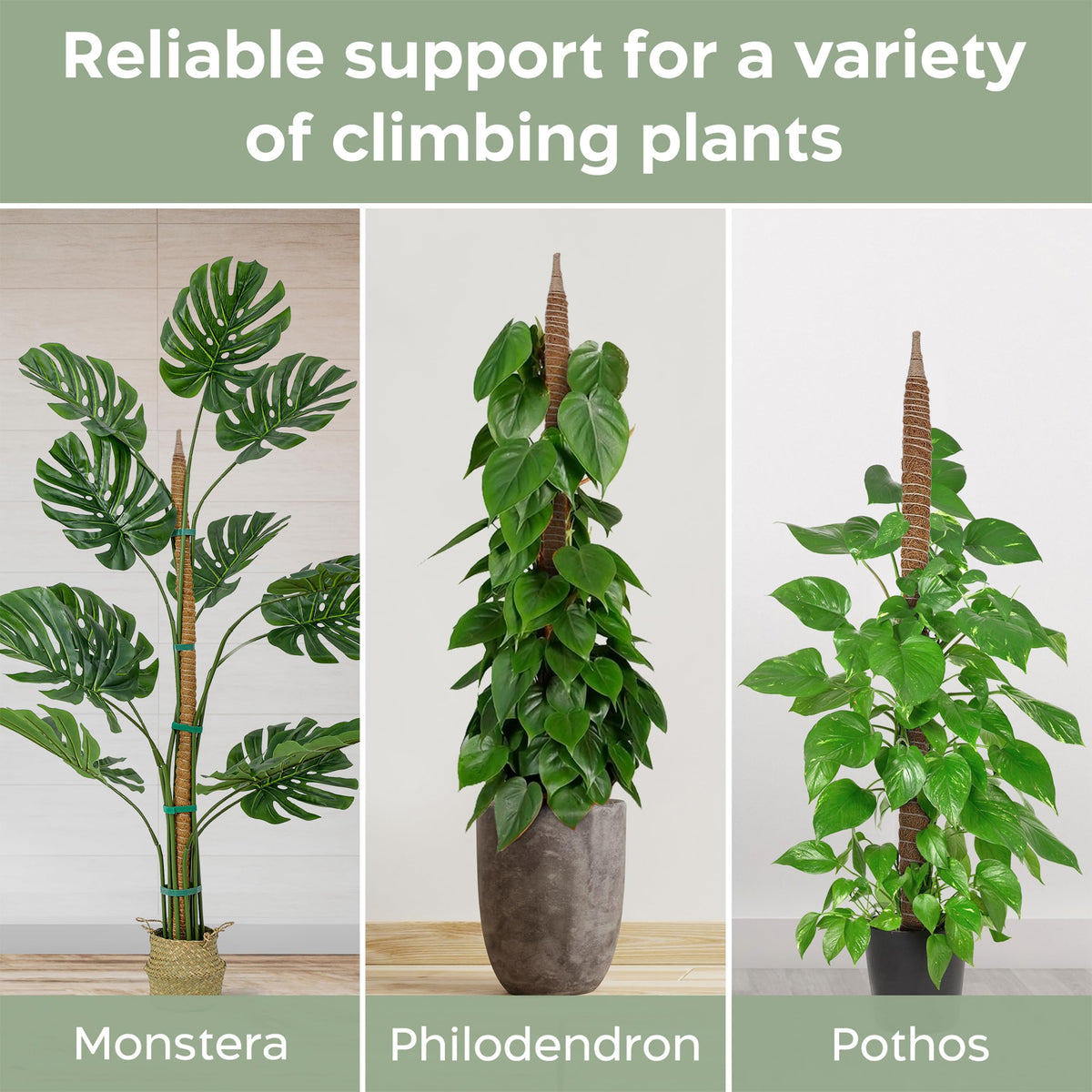 K-Brands coconut palm fiber moss pole offers breathable plant support
