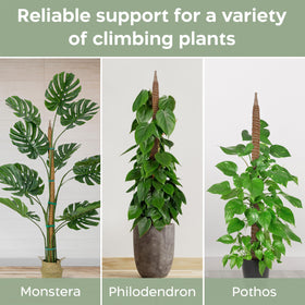 K-Brands coconut palm fiber moss pole offers breathable plant support