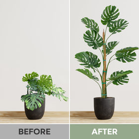 K-Brands easy-install moss pole setup for simple indoor trellising