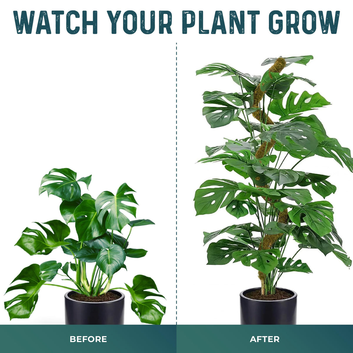 K-Brands eco-friendly moss pole boosts houseplant stability