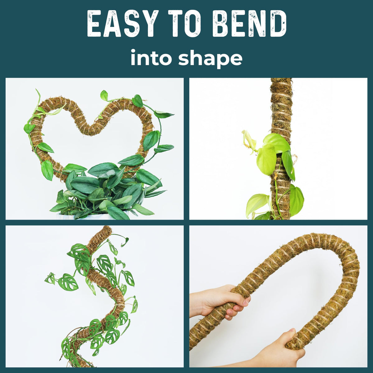 K-Brands flexible stake shaped for custom plant support