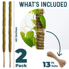 K-Brands forest moss material for natural moisture retention