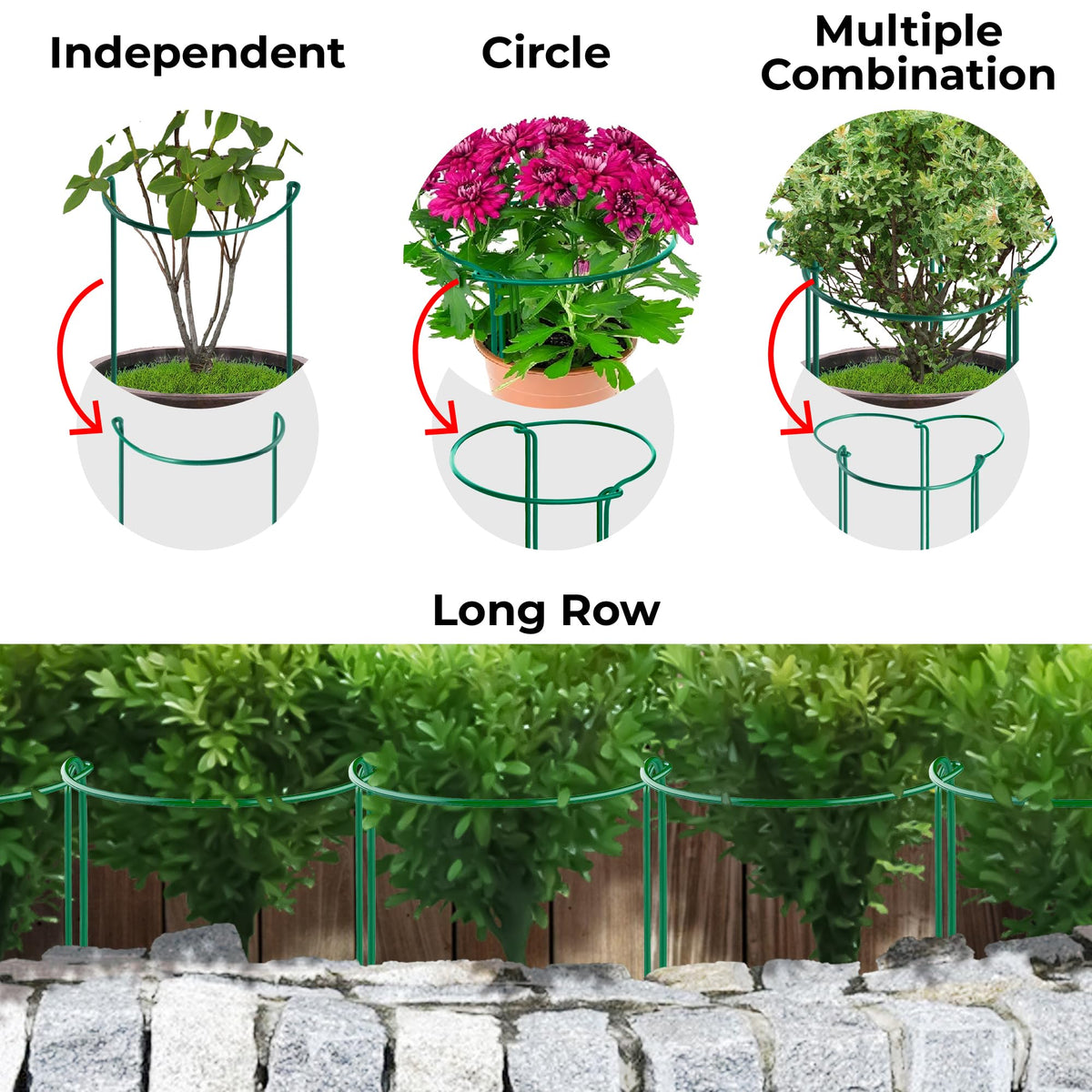 K-Brands indoor outdoor stake in use supporting tomato vines.