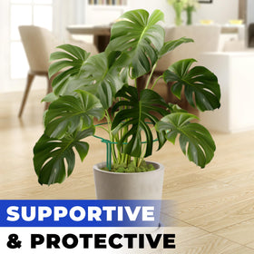 K-Brands indoor-outdoor plant support adapts to different setups with ease.