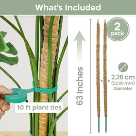 K-Brands Monstera climbing pole 63 inch stabilizes vertical growth of vines