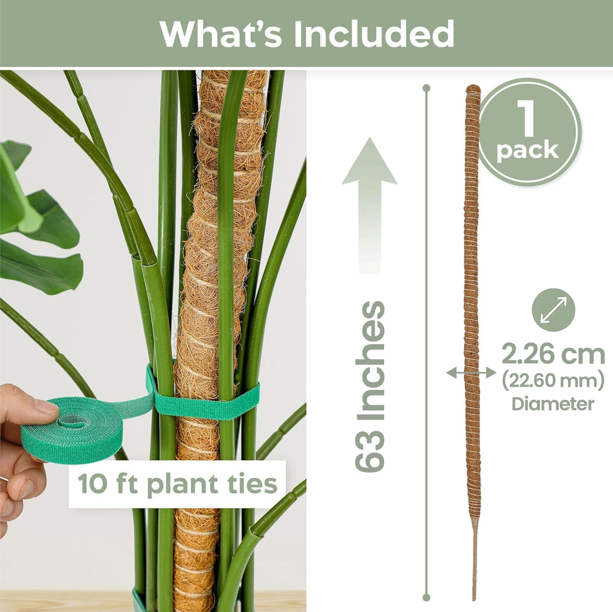 K-Brands moss pole made from coconut fiber supports breathable, eco-friendly plant training.