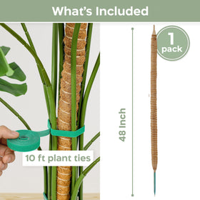 K-Brands moss pole made of coconut palm fiber for breathable climbing support