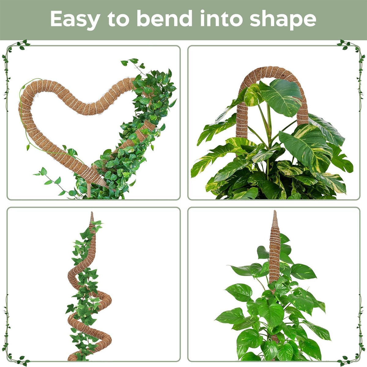 K-Brands pothos and philodendron support pole securely attaches climbing stems