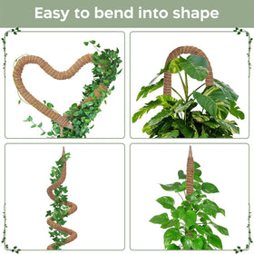 K-Brands pothos and philodendron support pole securely attaches climbing stems