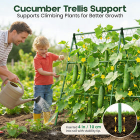 Raised-bed vegetable trellis by K-Brands supporting multiple crops in a single frame.