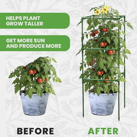K-Brands Square Tomato Cage ground-stake design anchors securely for dependable garden support