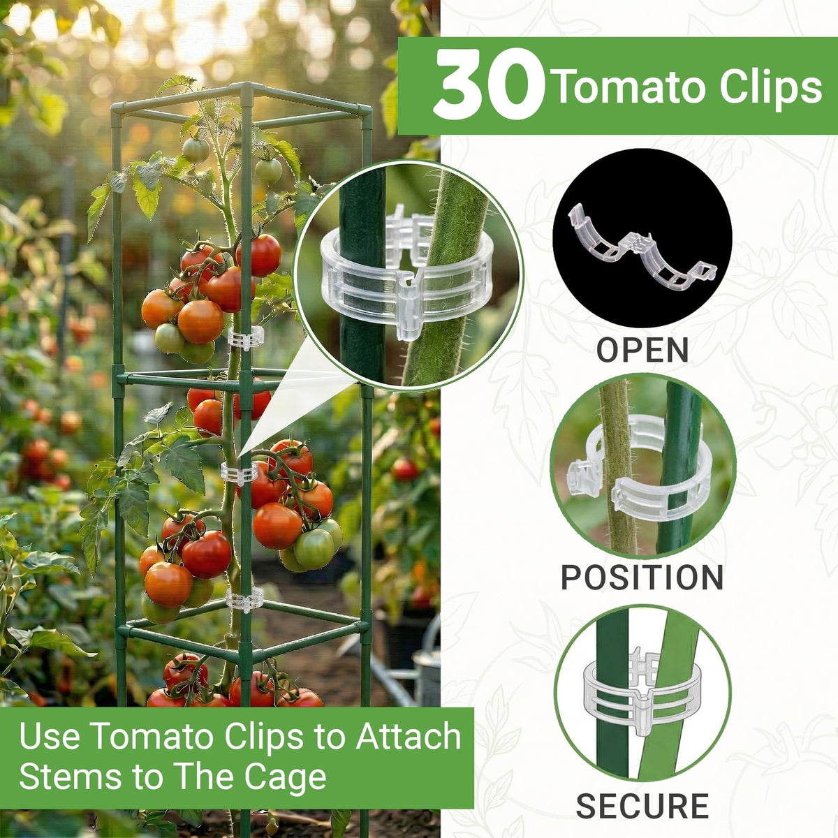 Square frame provides reliable support for tomatoes, peppers, and beans.