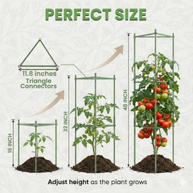 K-Brands tomato cage offers triangle or square shape for flexible support.