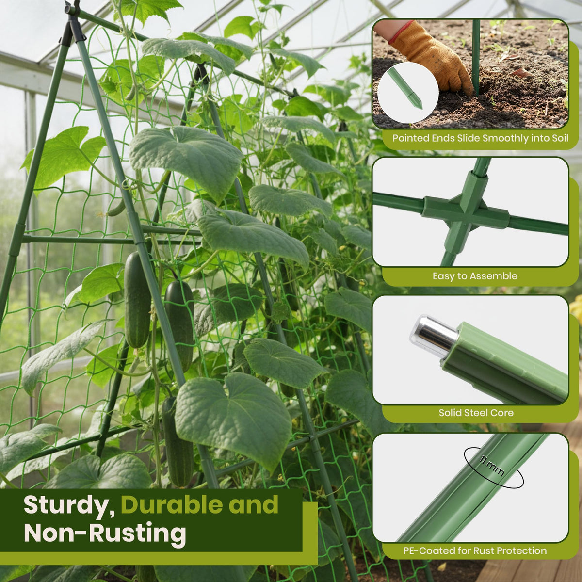 Vertical support for climbing plants from K-Brands helps vines reach sunlight efficiently.